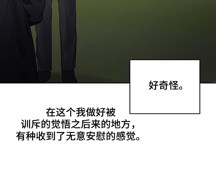 第33章：请吃饭17