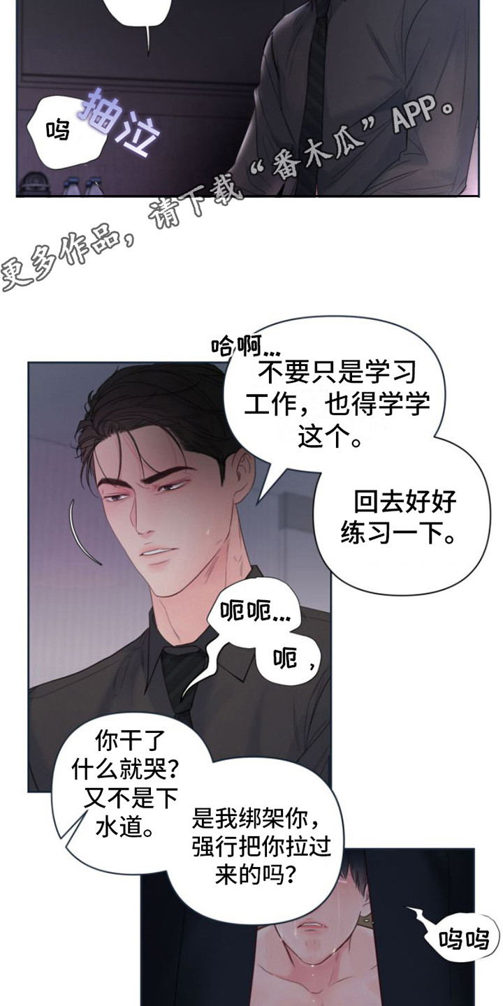 第12章：看法4