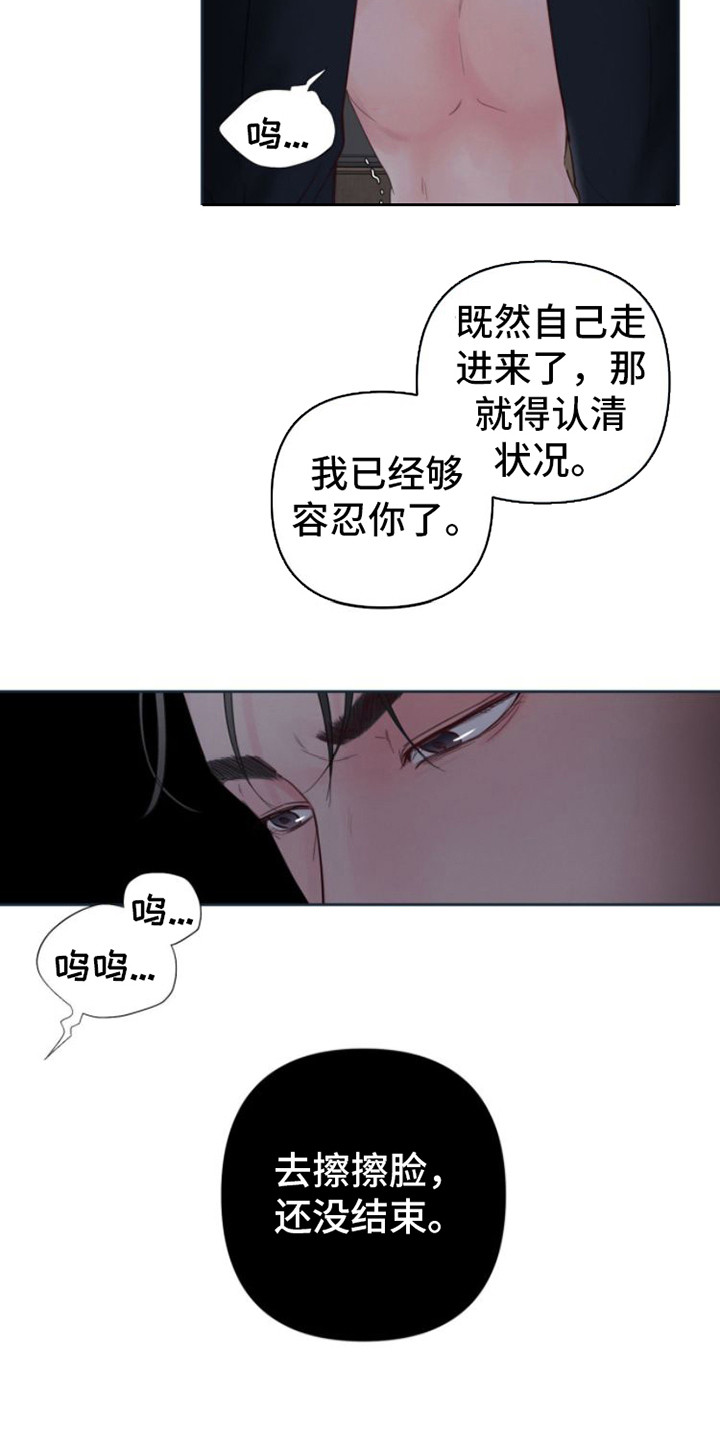 第12章：看法5