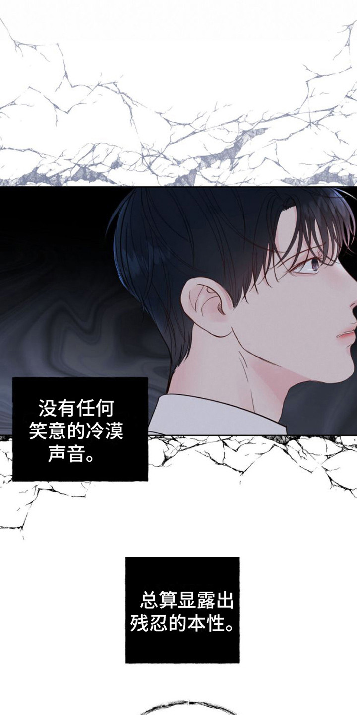 第5章：条件4