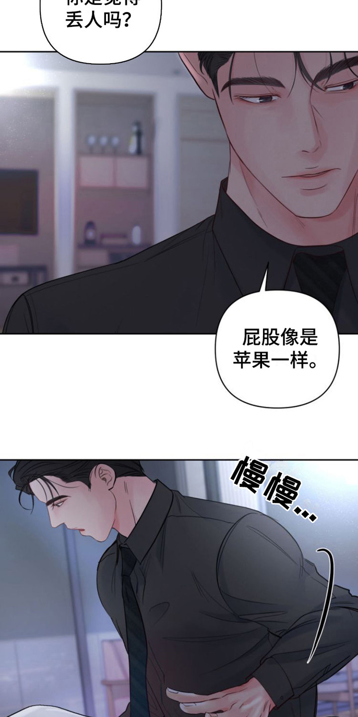 第13章：红苹果17