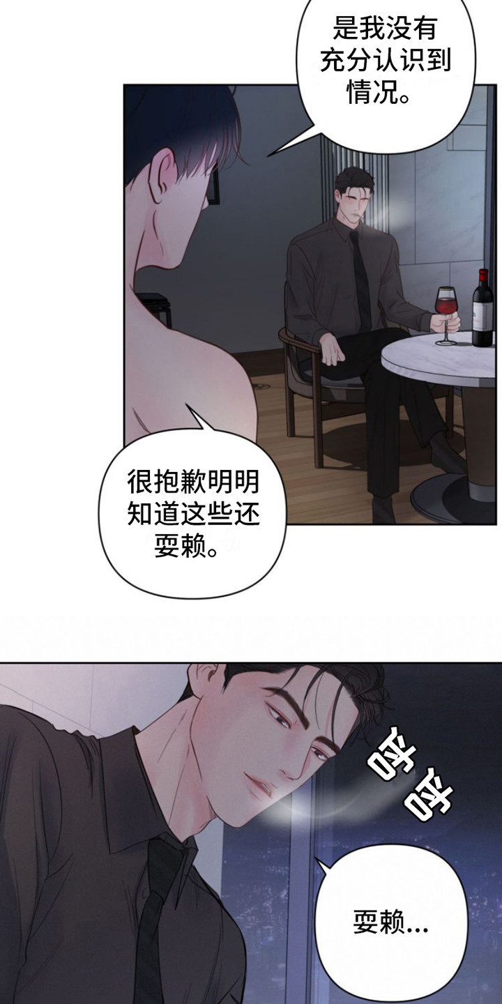 第12章：看法17