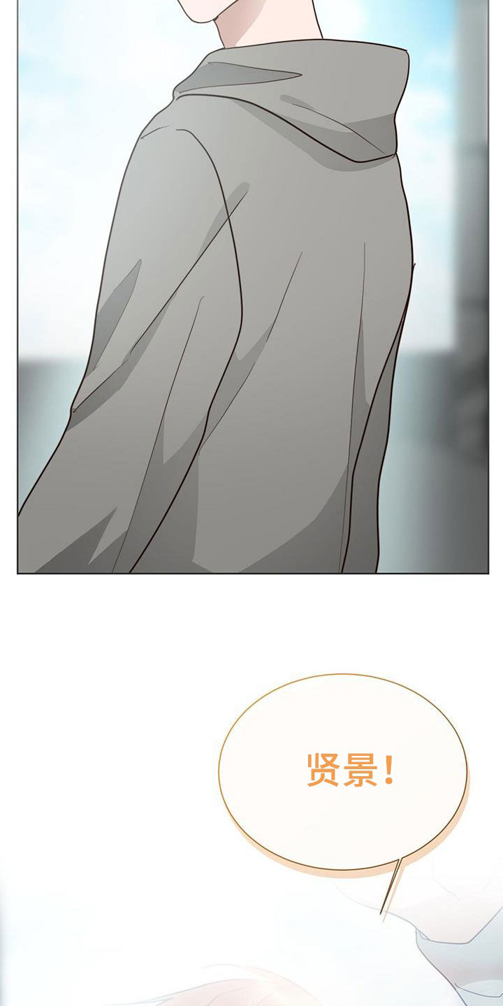 第77章：提议17