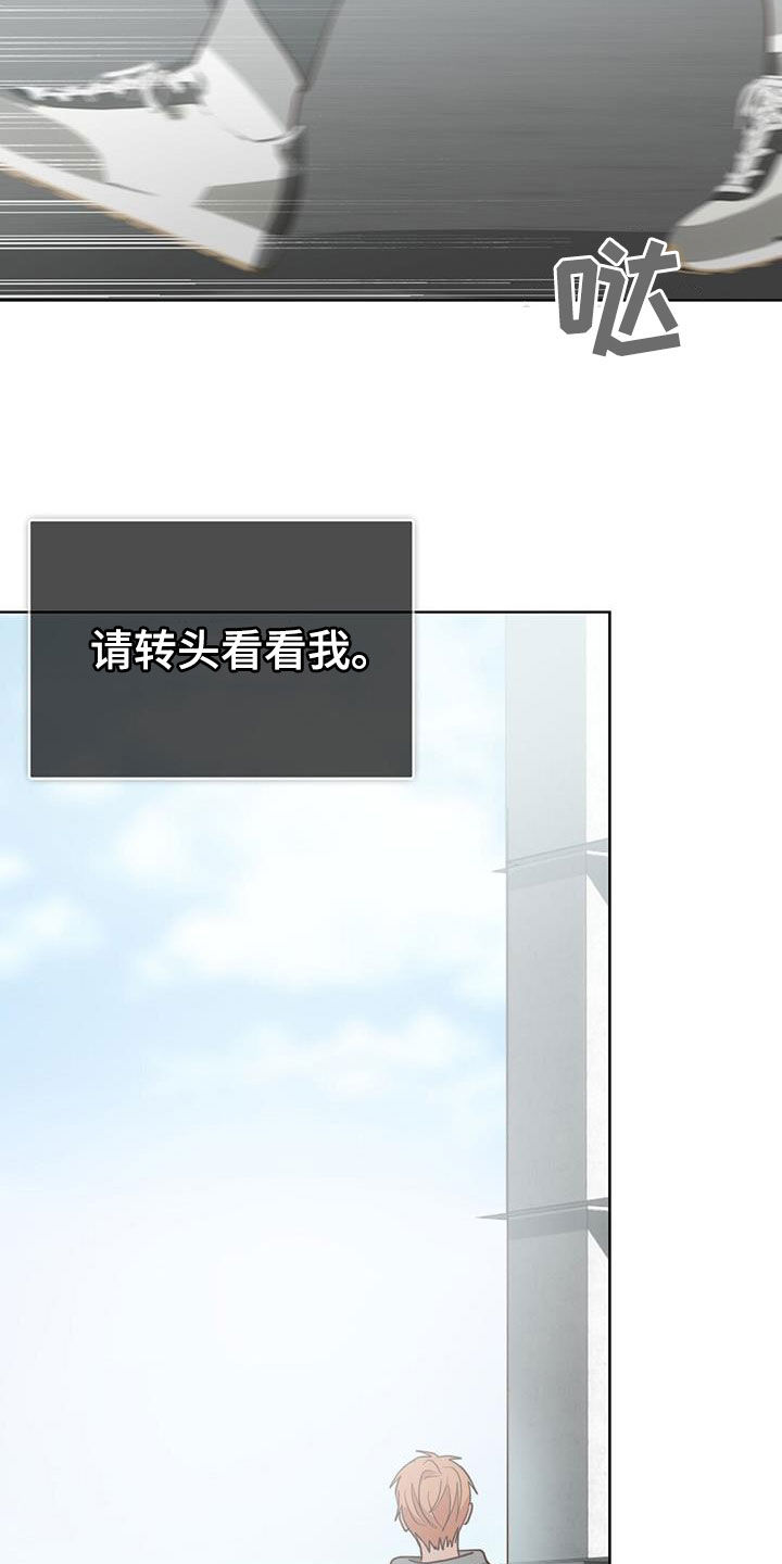 第77章：提议11