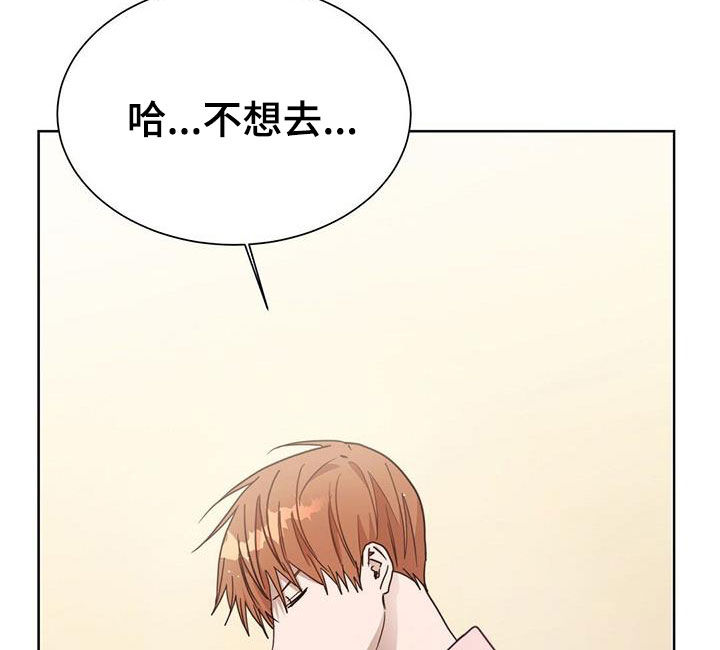第62章：签合同17