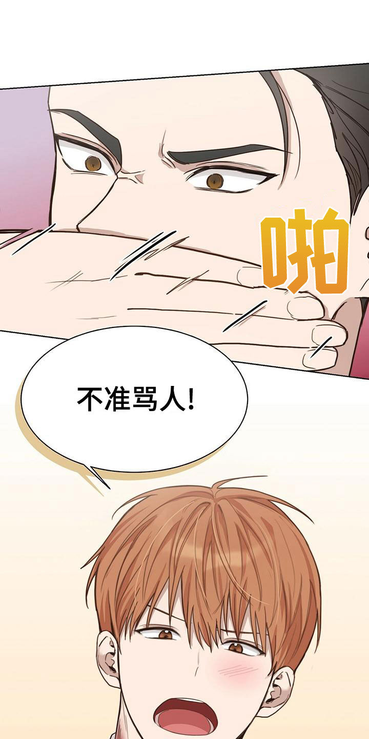 第31章：不准骂人10