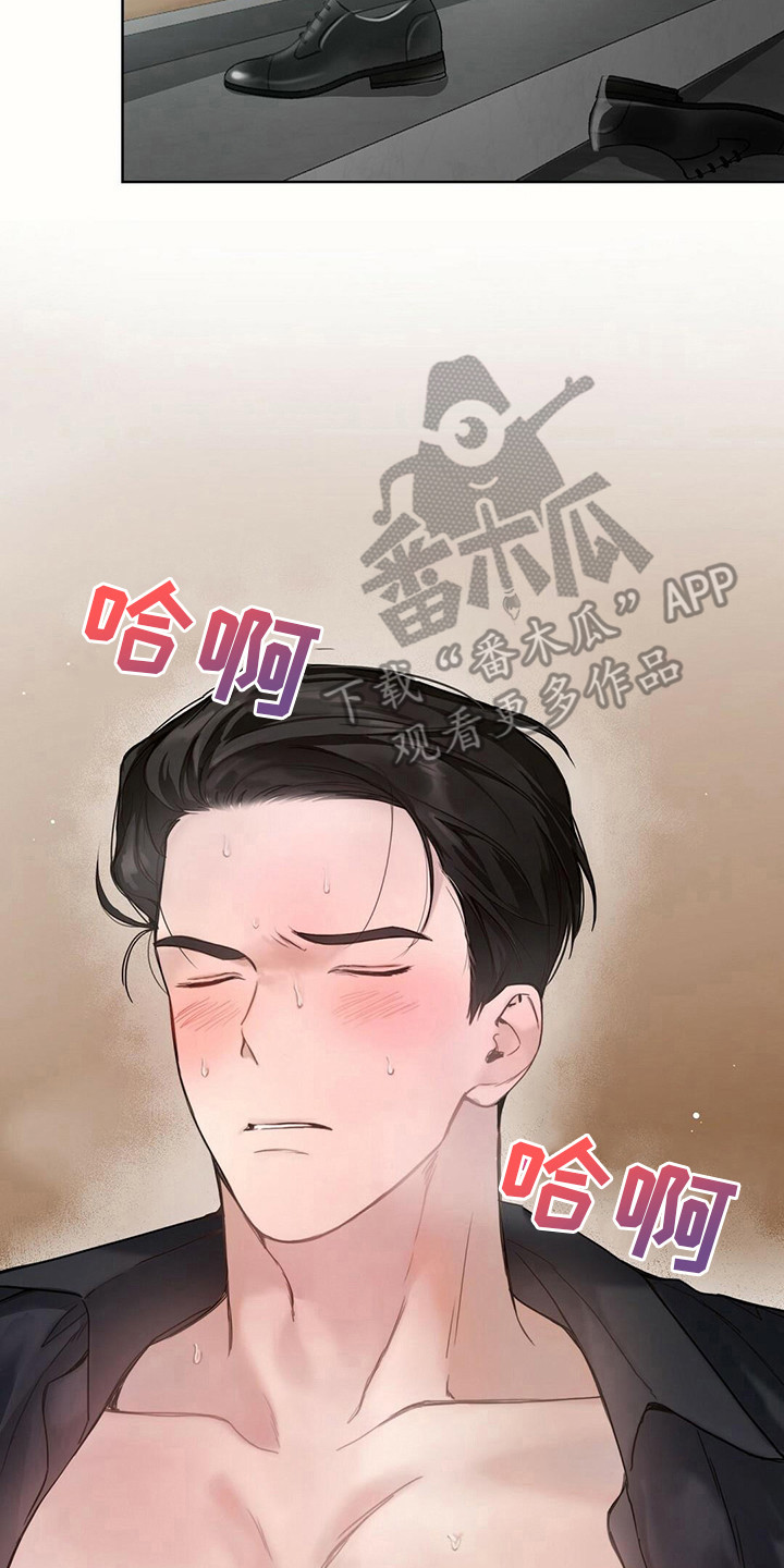 第29章：带回家19