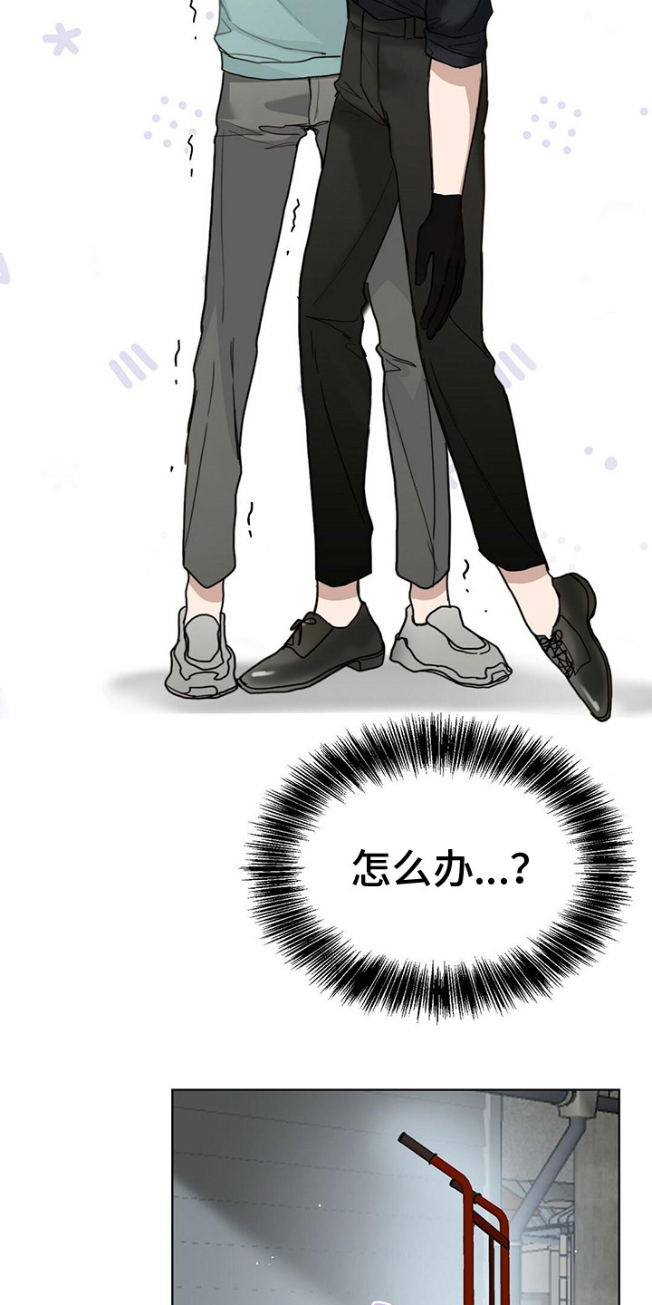 第29章：带回家9