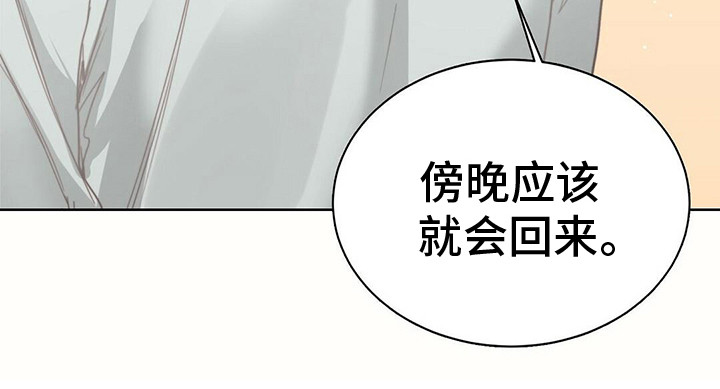 第26章：暗示13