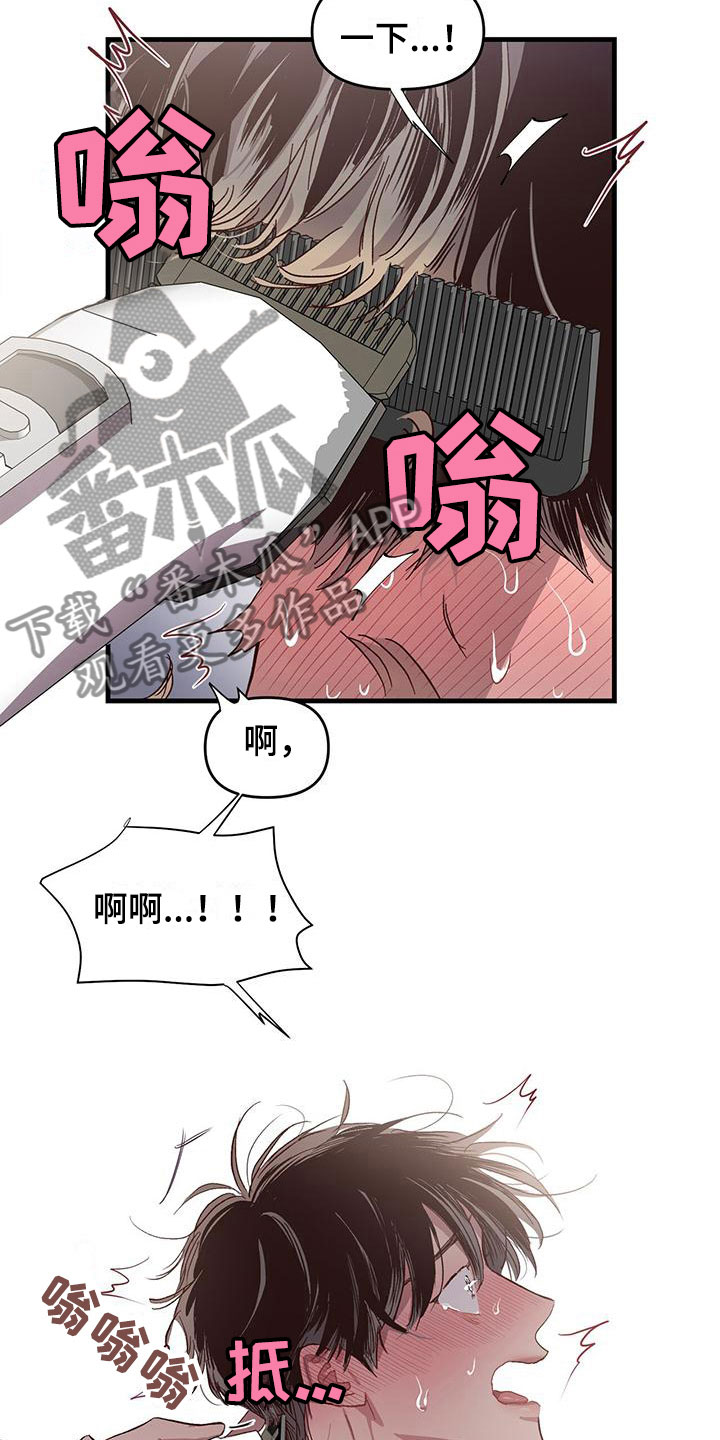 第8章：我帮你5