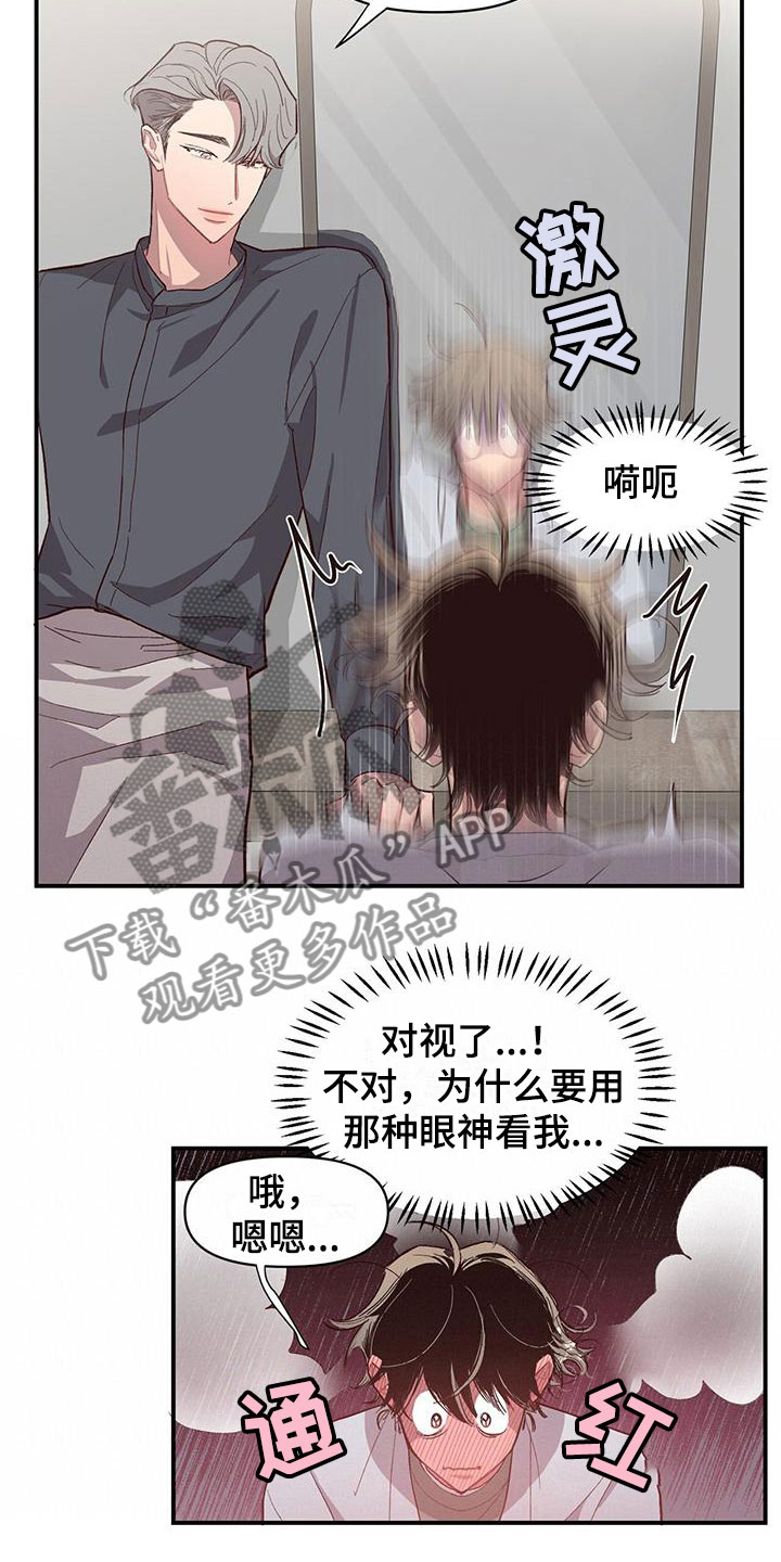 第7章：不是吗6