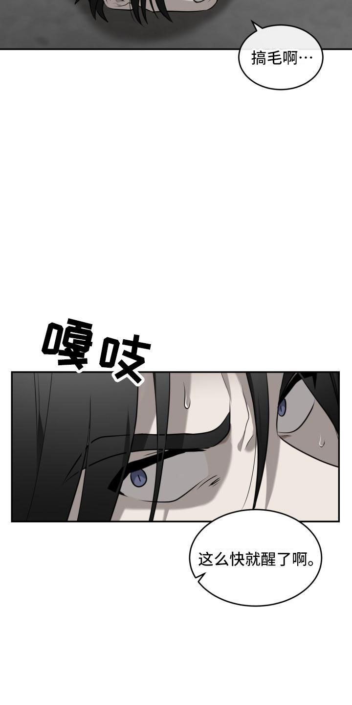 第3章：一见钟情16