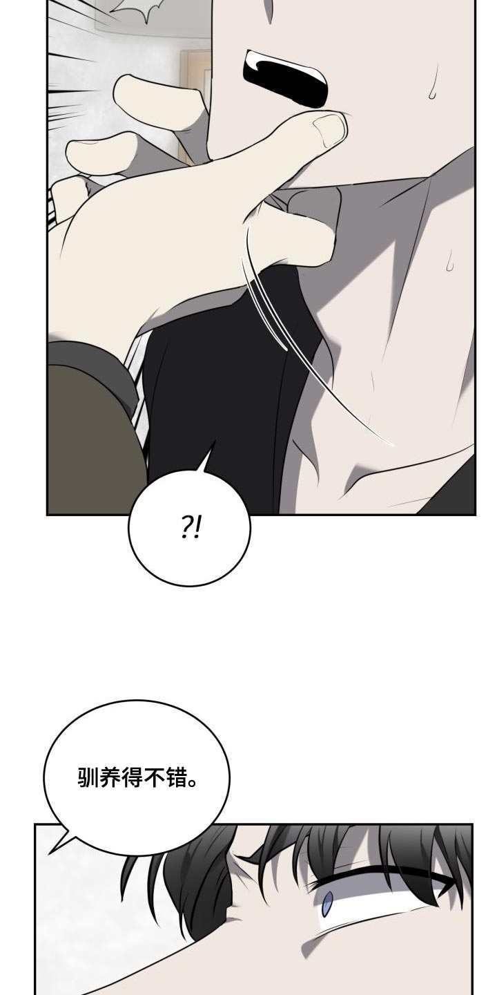 第60章：【第二季】血脉骗不了人21