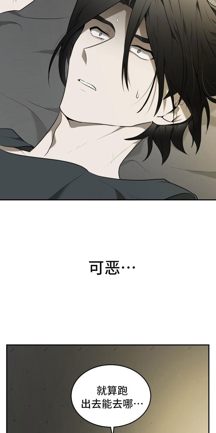 第14章：无处可去17