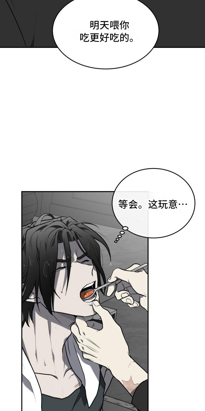 第10章：喂食19