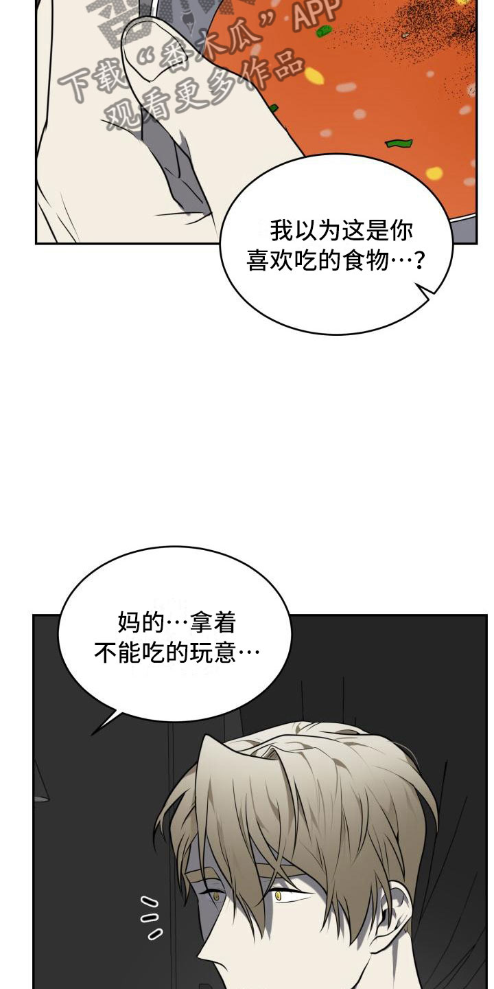 第11章：安全地方5