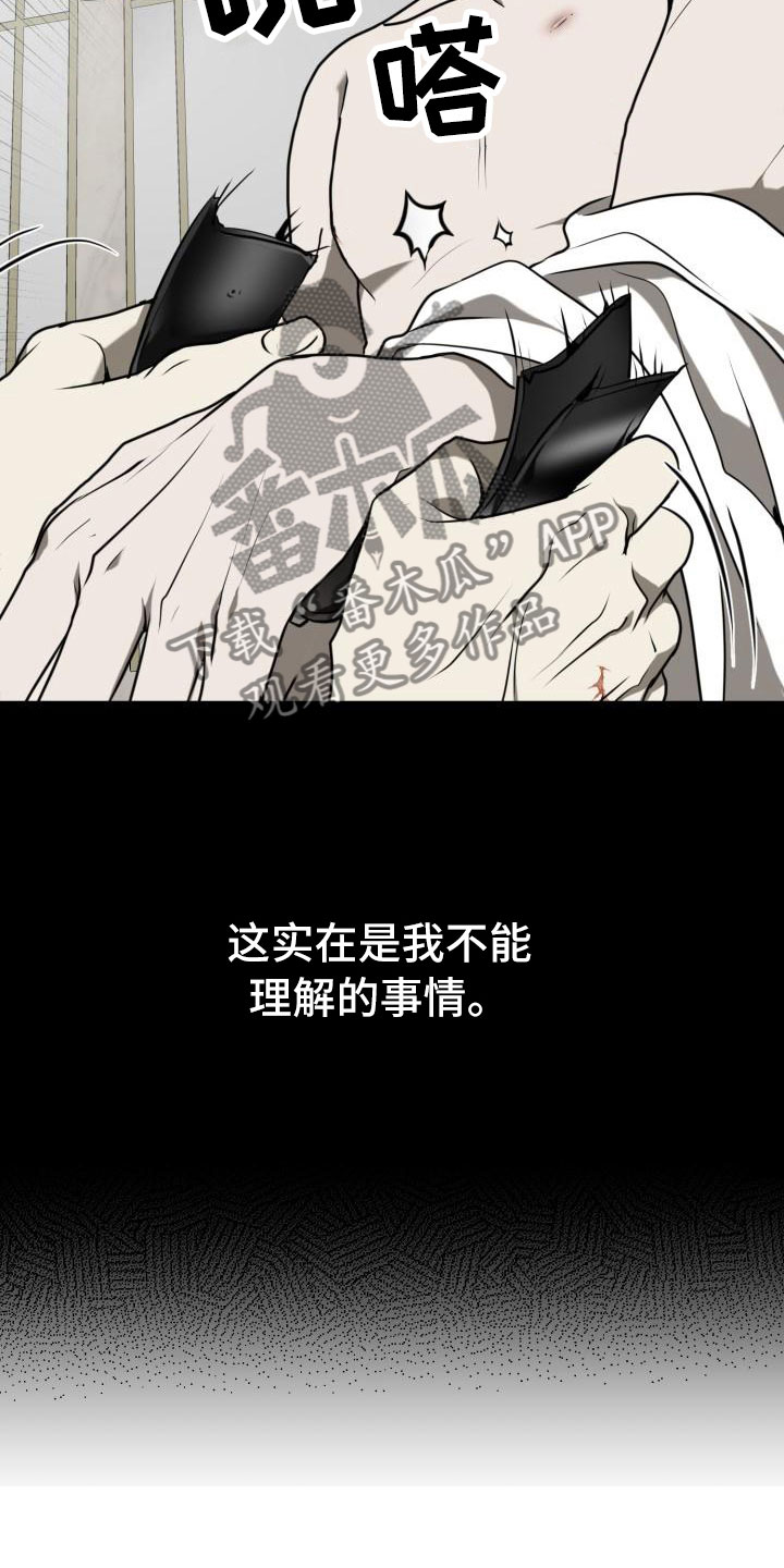 第8章：为什么是我19