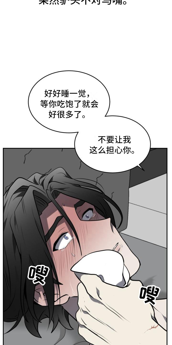 第11章：安全地方12