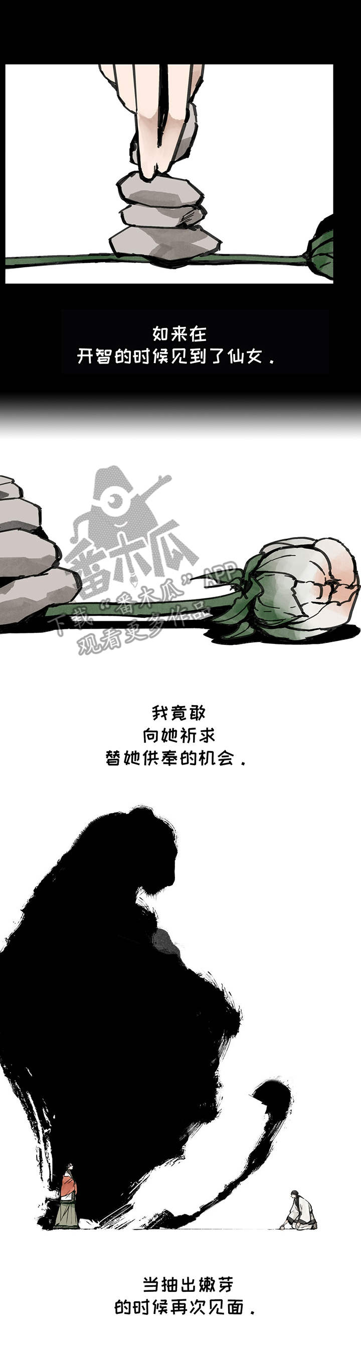第24章：追随12