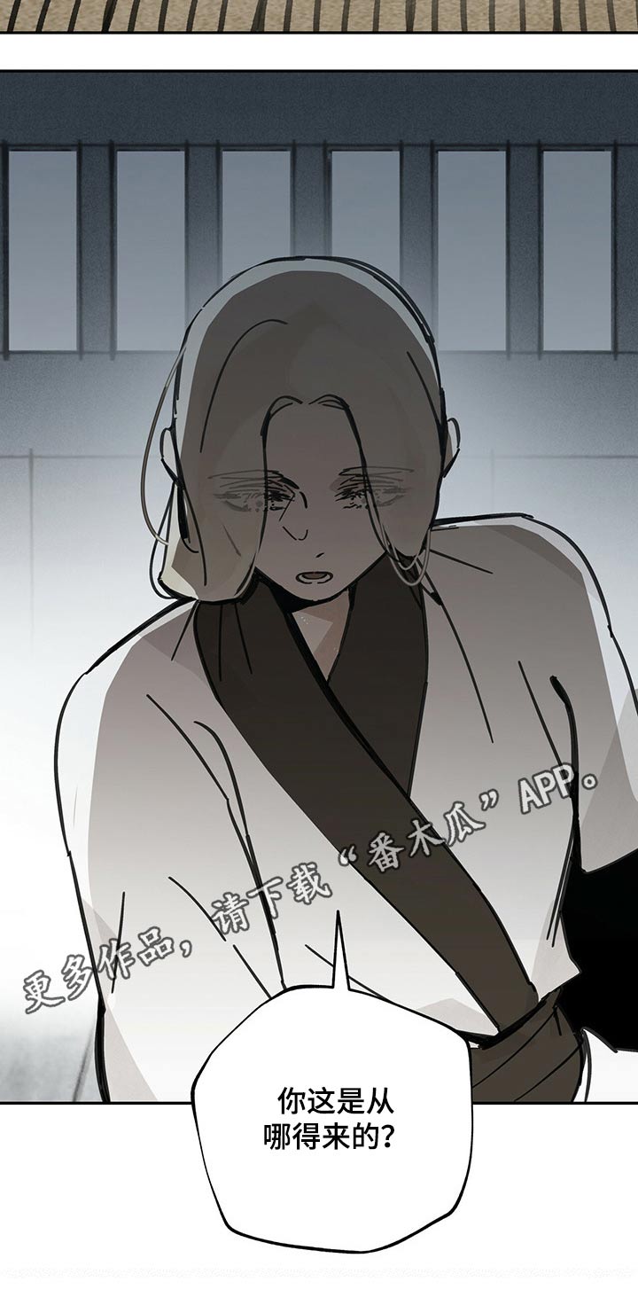 第79章：饰品12