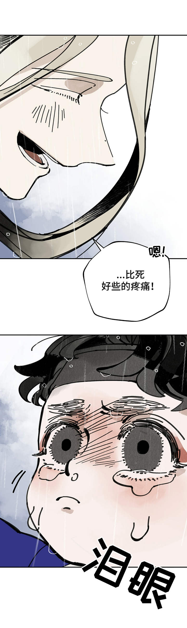 第41章： 悲伤之情7