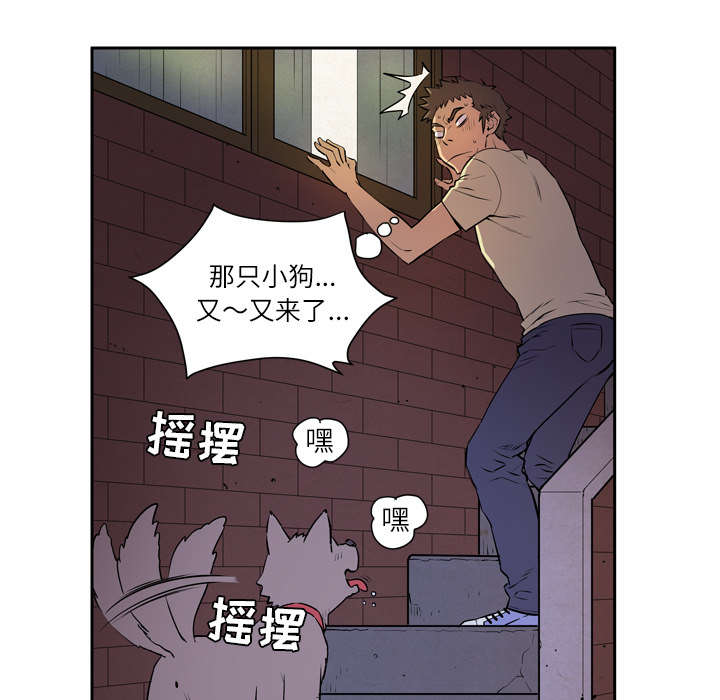 第10章：适度4