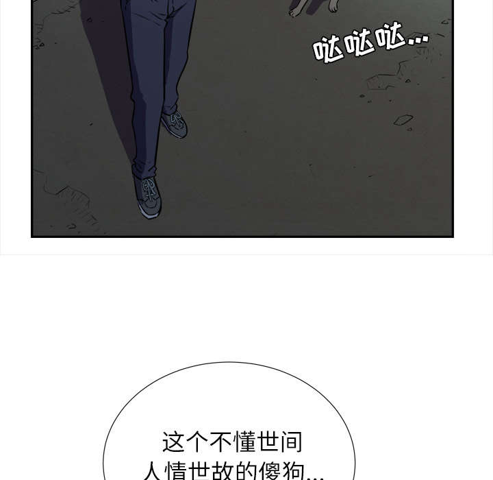 第3章：合作49