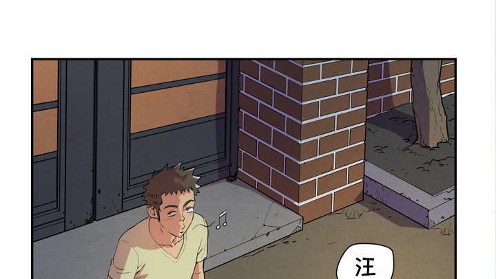 第8章：条件具备52