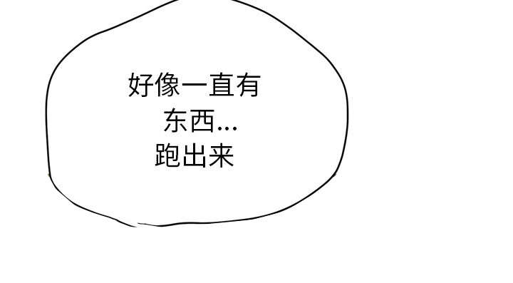 第29章：进展46