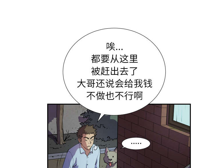 第3章：合作52