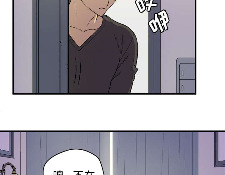 第17章：发现11