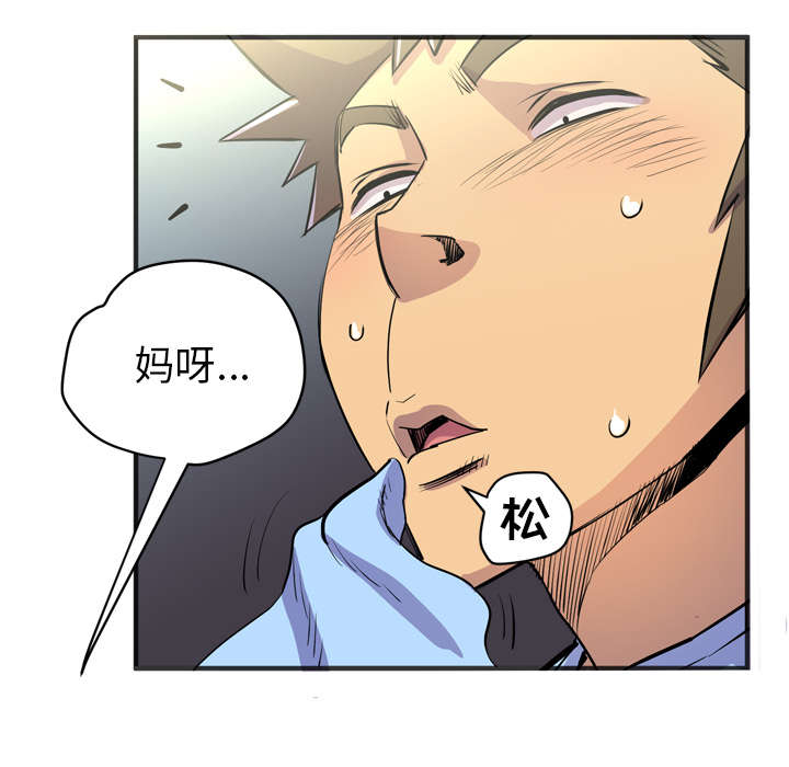 第29章：进展43