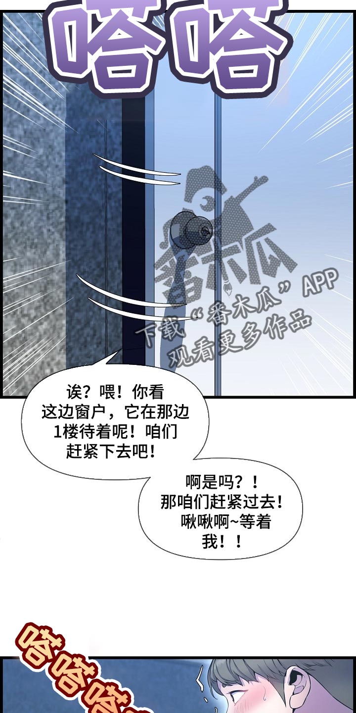 第70章：找小猫5