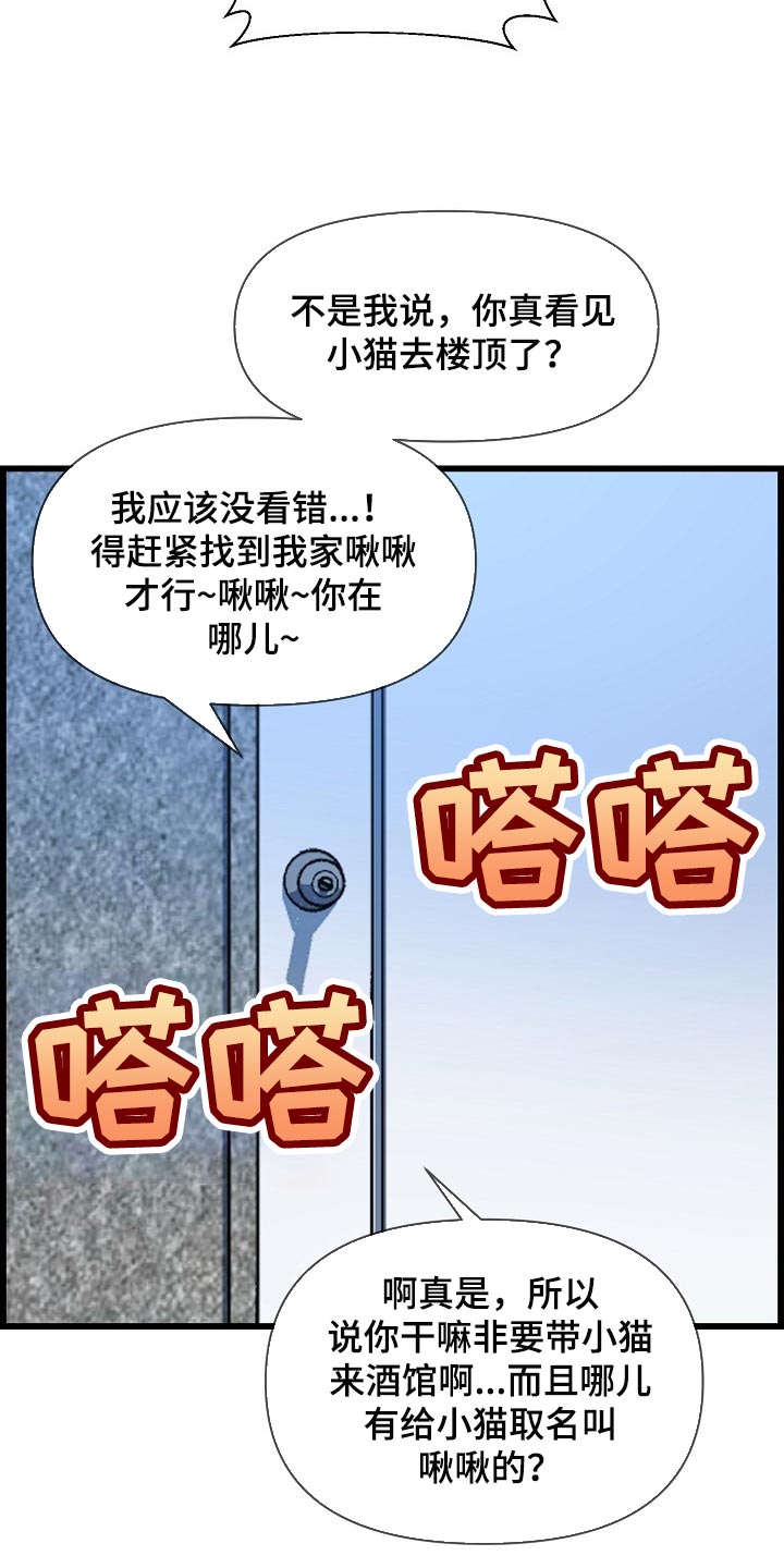 第70章：找小猫3
