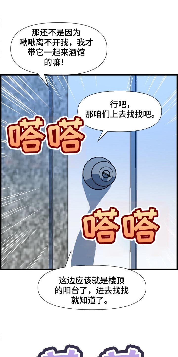 第70章：找小猫4
