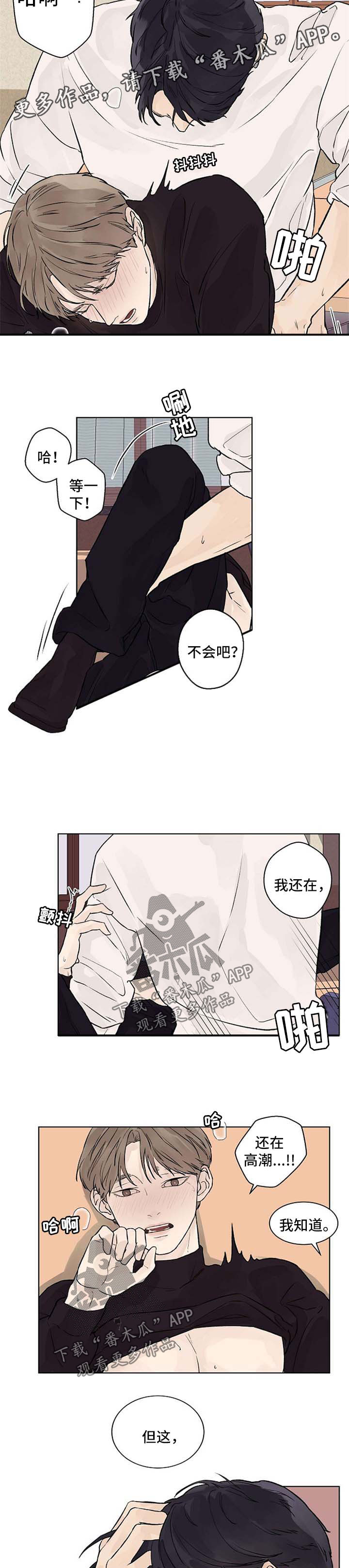 第42章：怀疑4