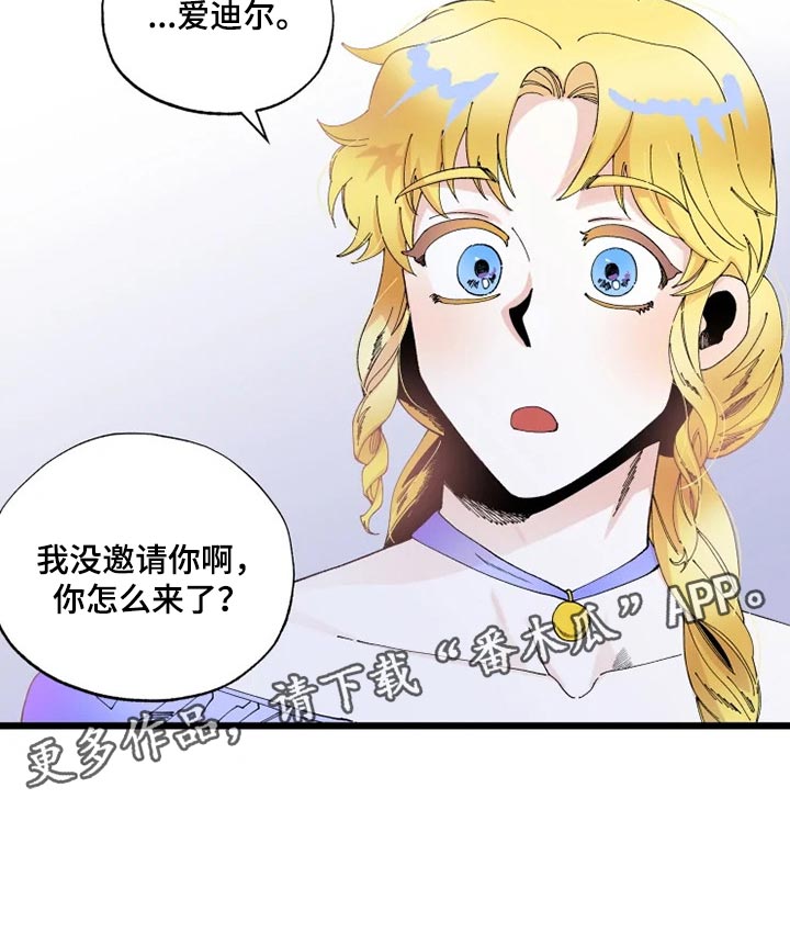 第29章：没有邀请19