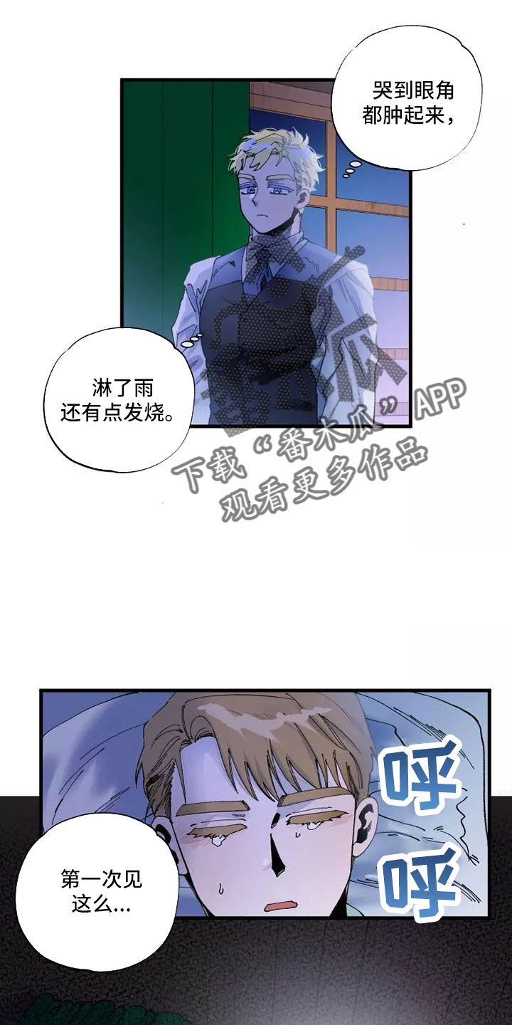 第65章：晕过去16