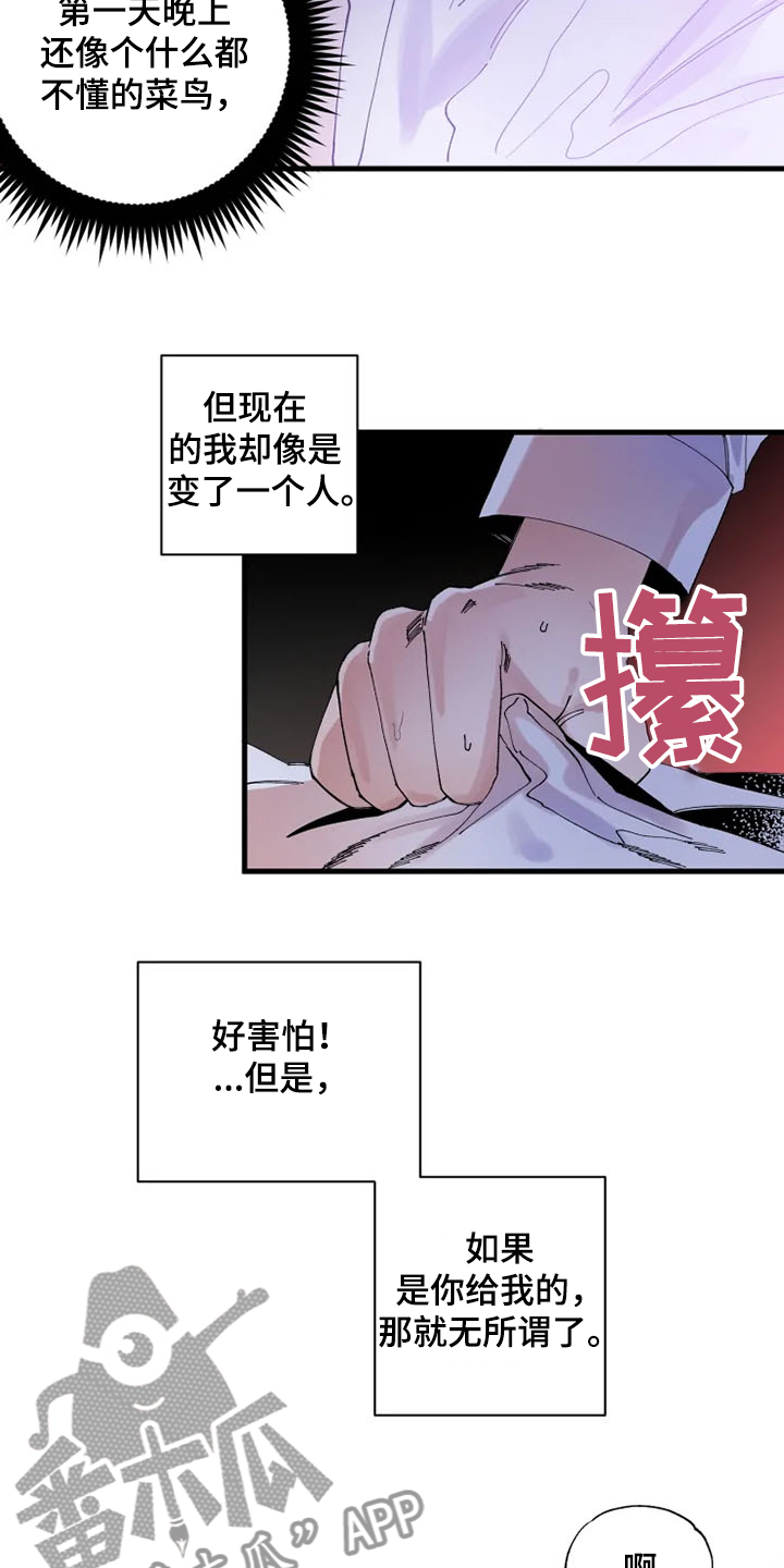 第24章：我爱你6