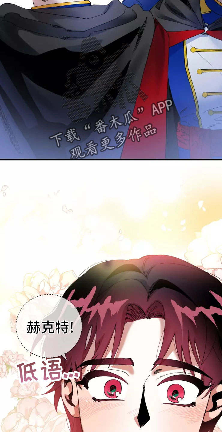 第72章：不听话的笨蛋6