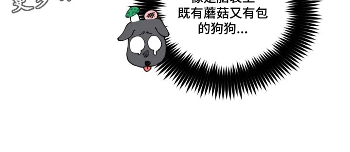 第33章：诅咒16