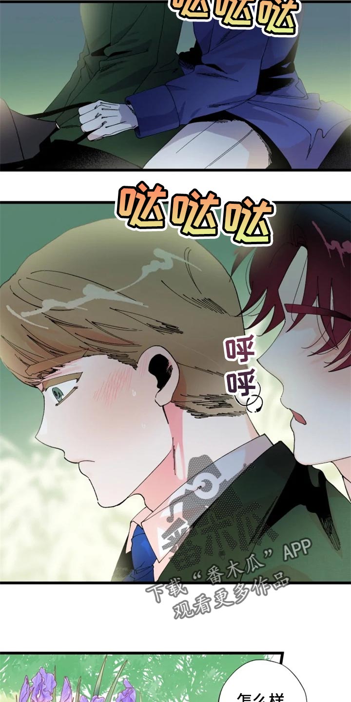 第19章：骑马14