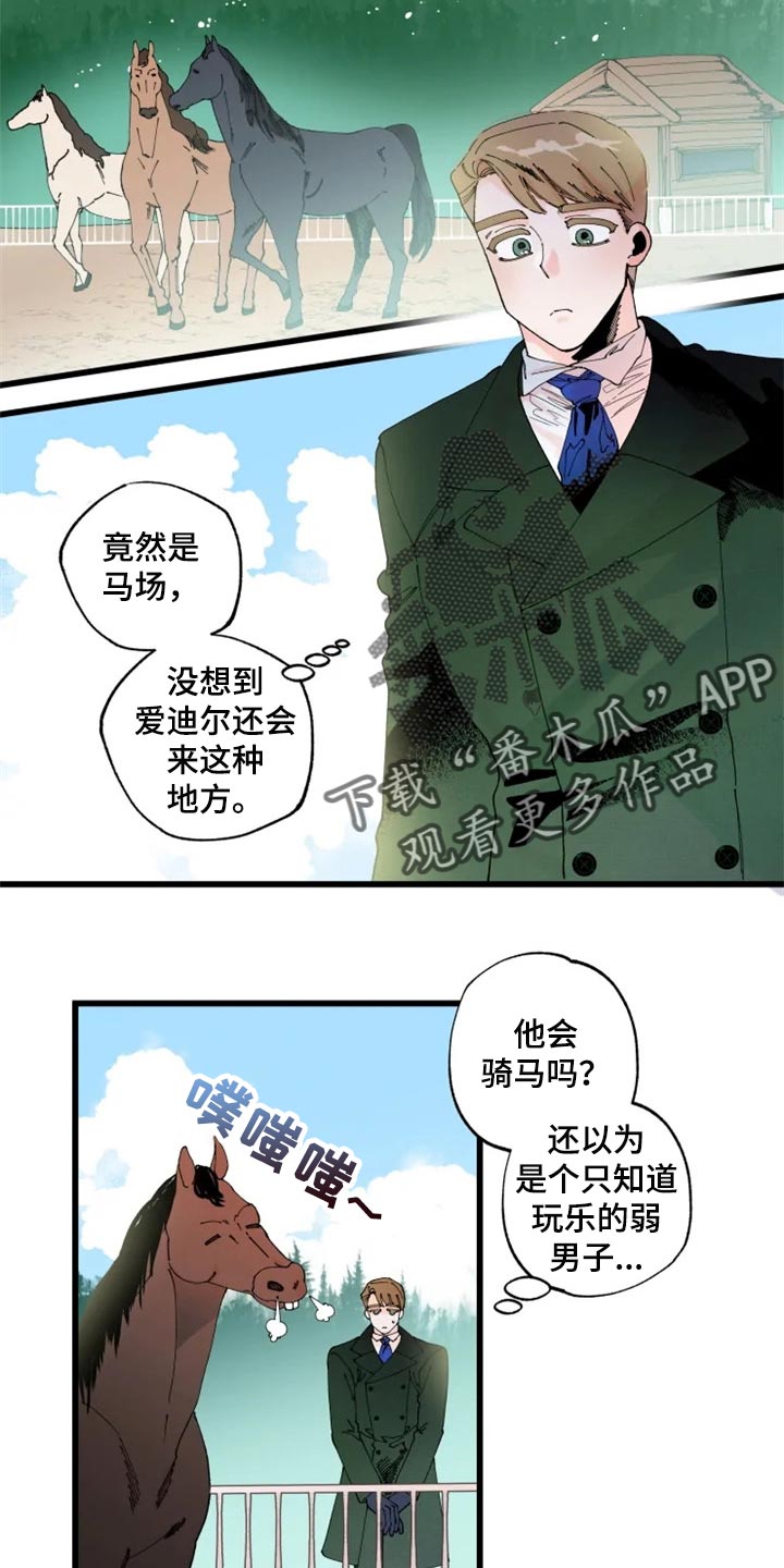 第19章：骑马4