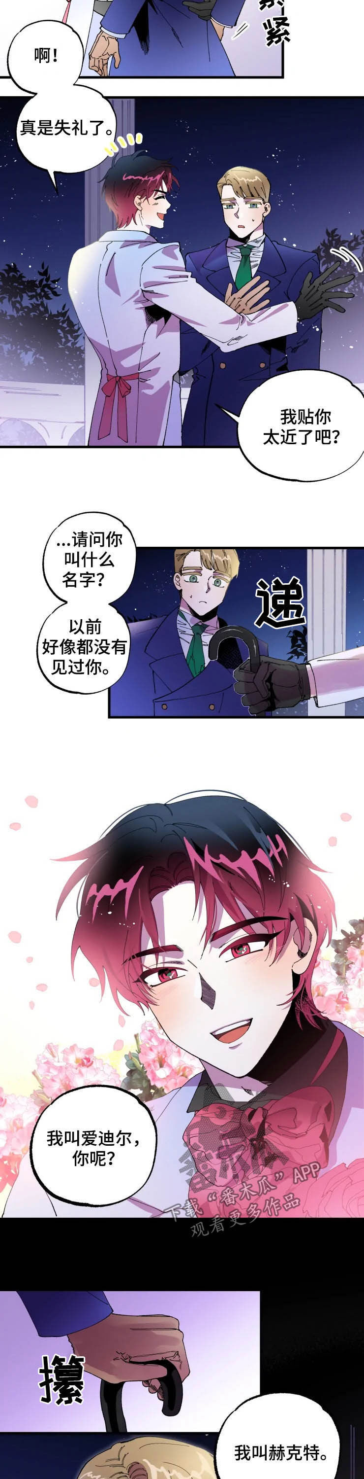 第11章：贴面礼5