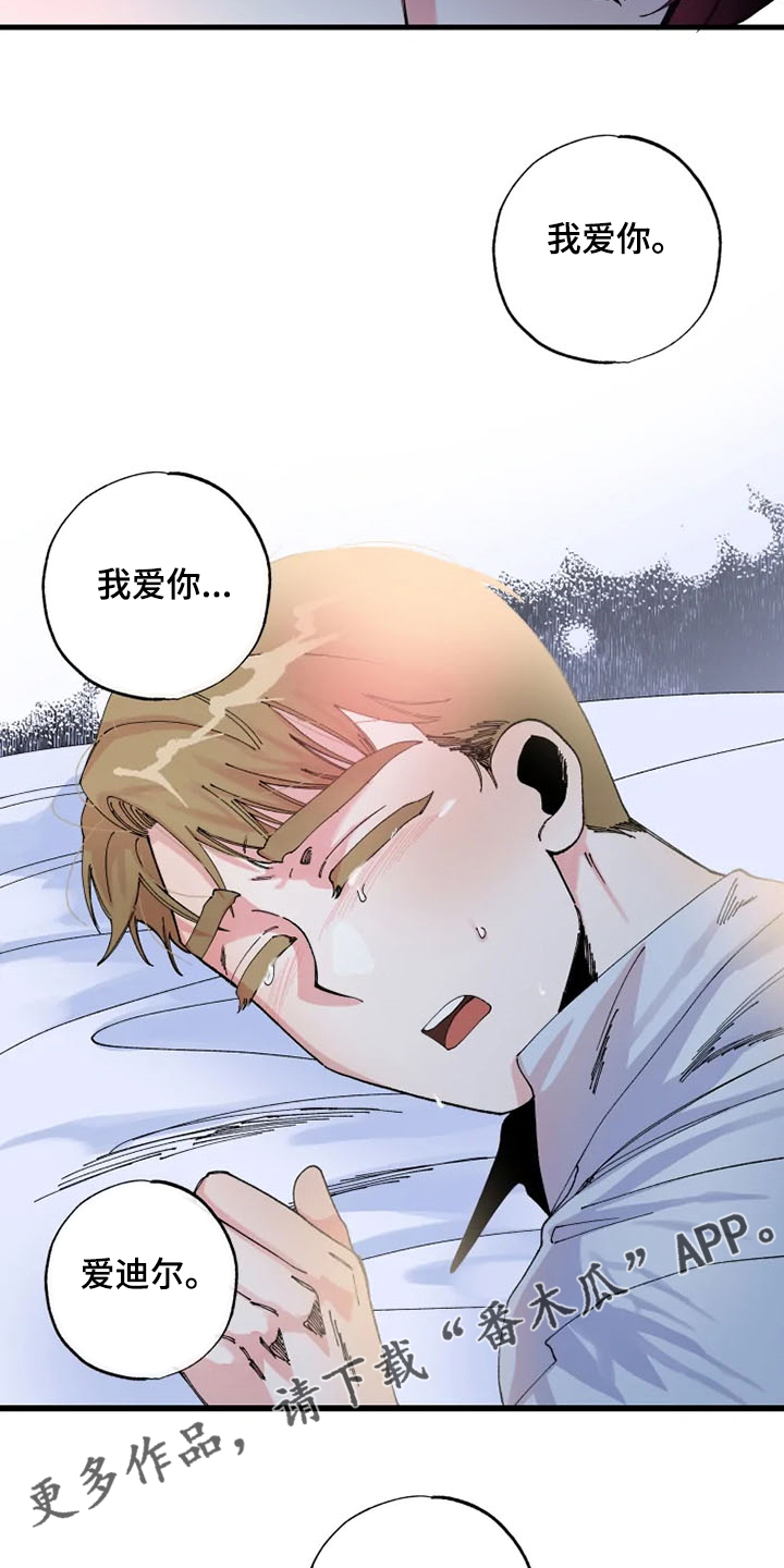 第24章：我爱你11