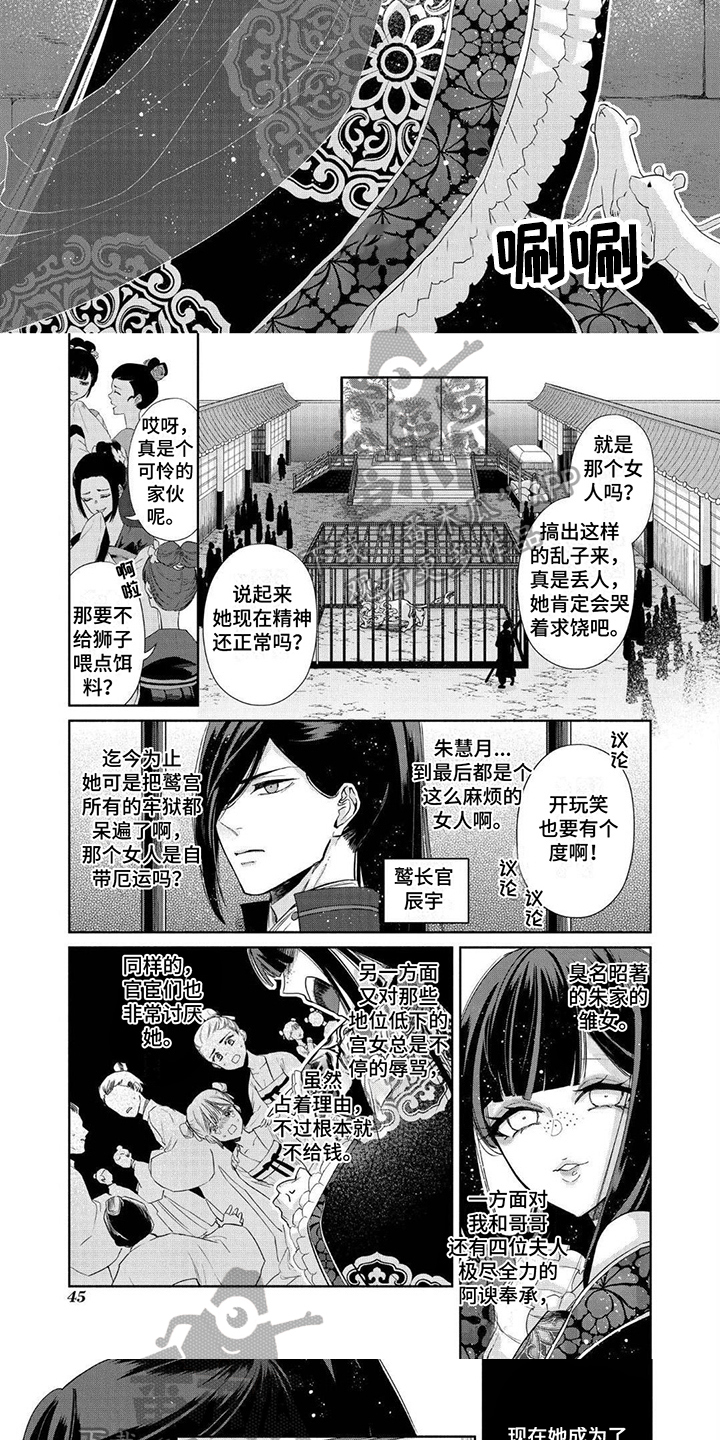 第5章：令人羡慕4