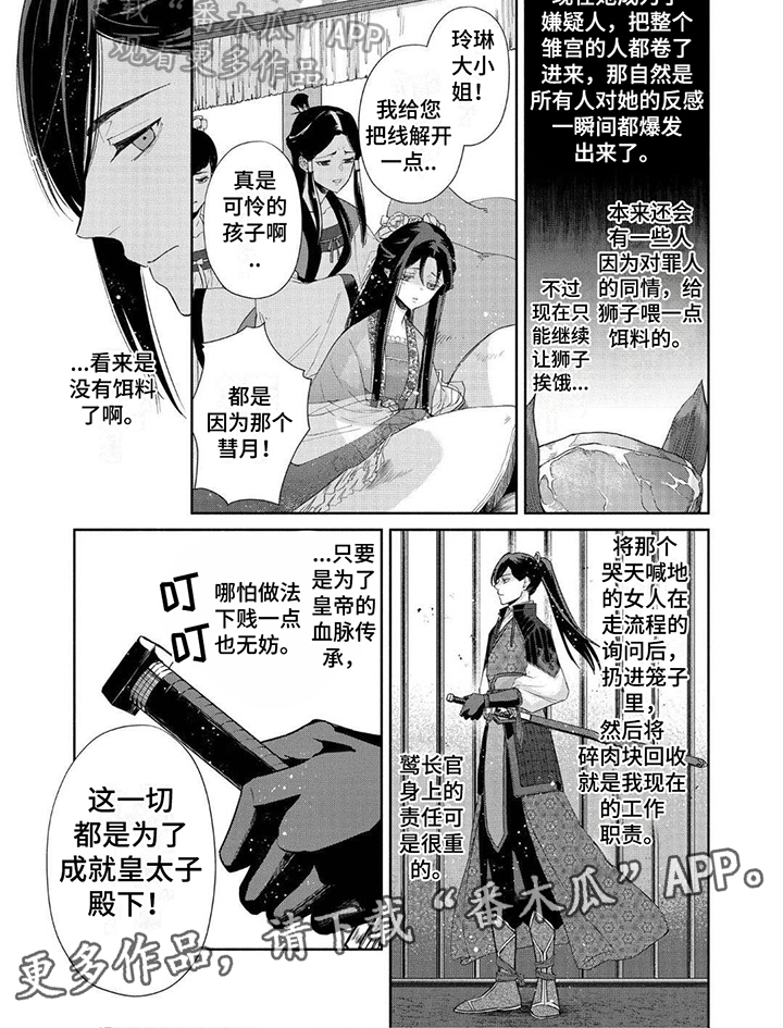 第5章：令人羡慕5