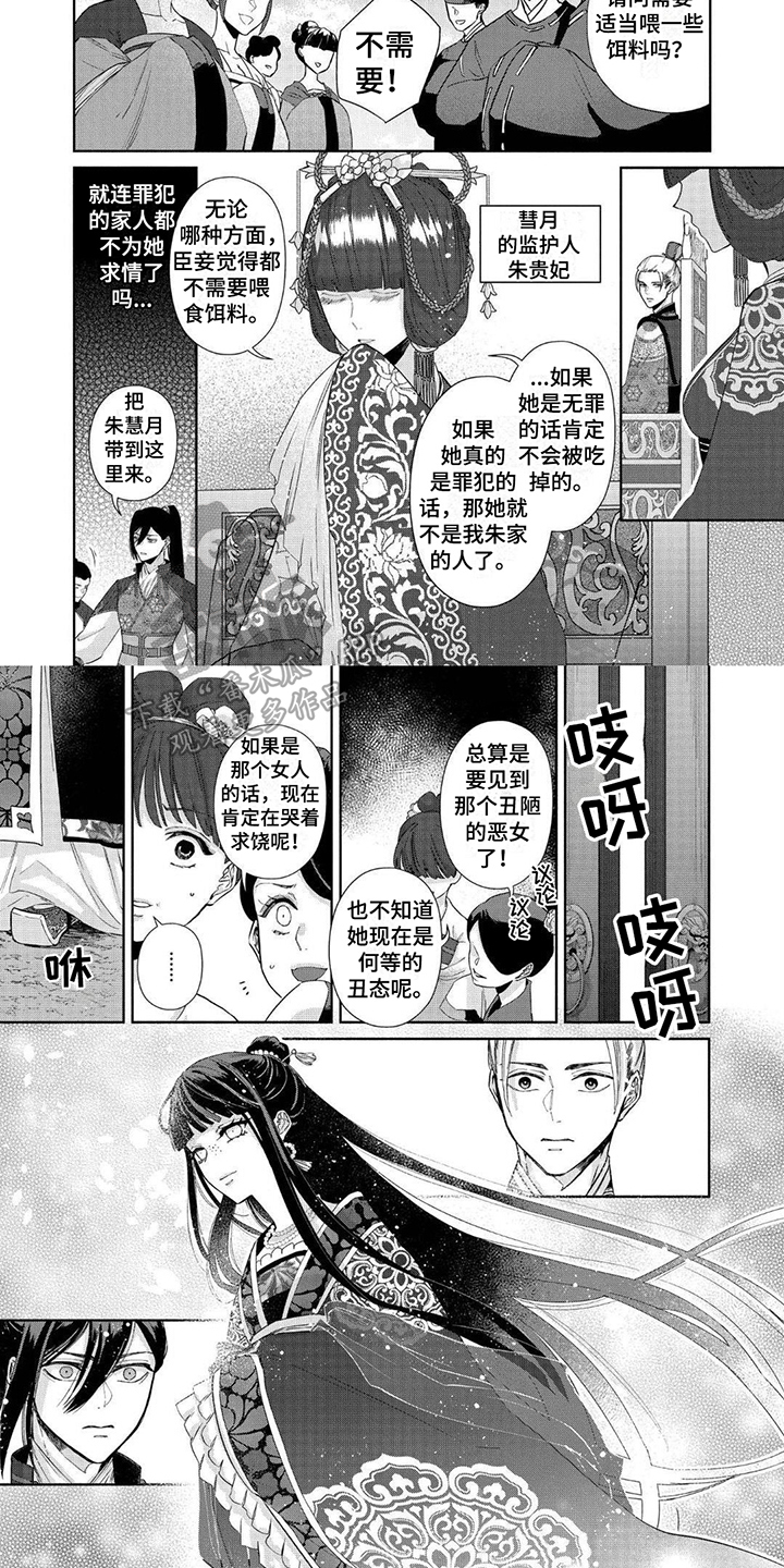第6章：兽寻仪式1