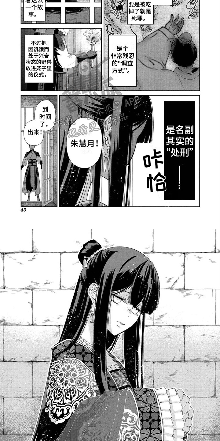 第5章：令人羡慕3