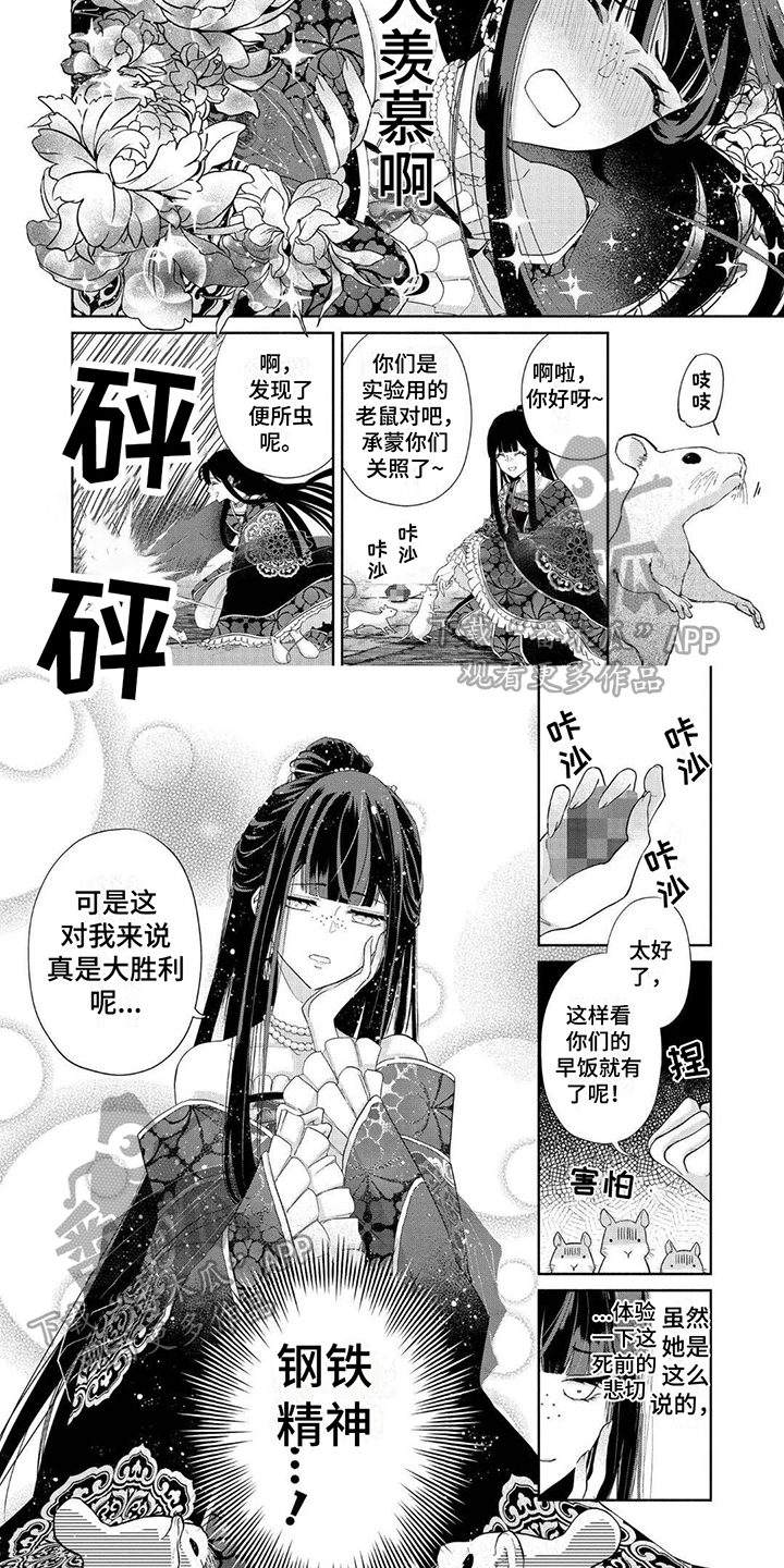 第5章：令人羡慕1